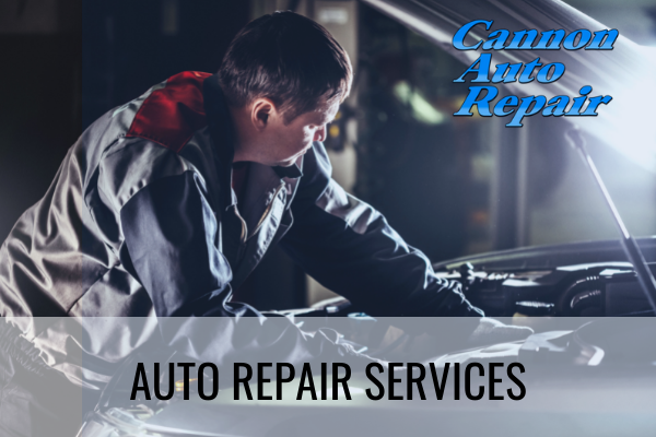 auto repair services cannon falls mn
