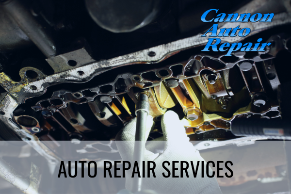 auto repair services cannon falls mn