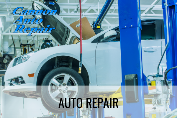 auto repair cannon falls mn