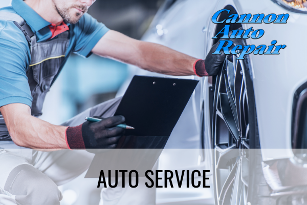 auto service cannon falls mn