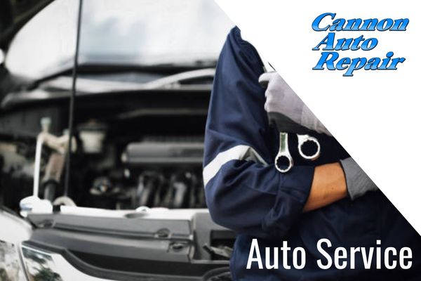 auto service cannon falls mn