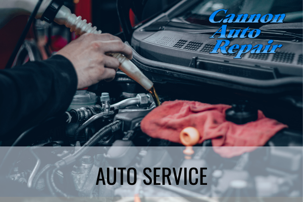 auto service cannon falls mn