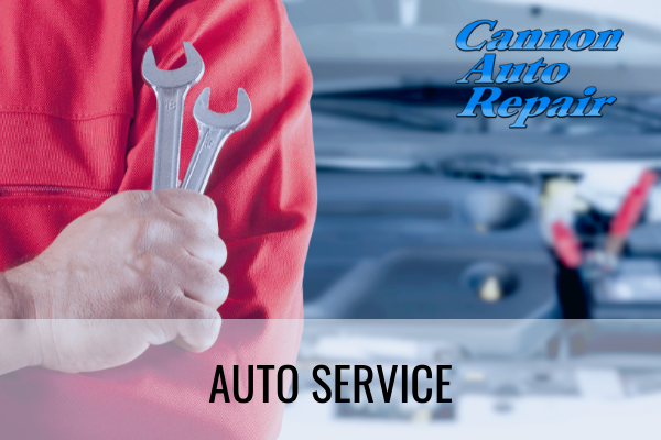 auto shop cannon falls mn