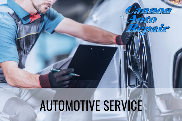 automotive repair cannon falls mn