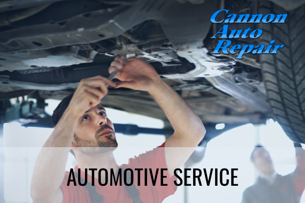 automotive service cannon falls mn