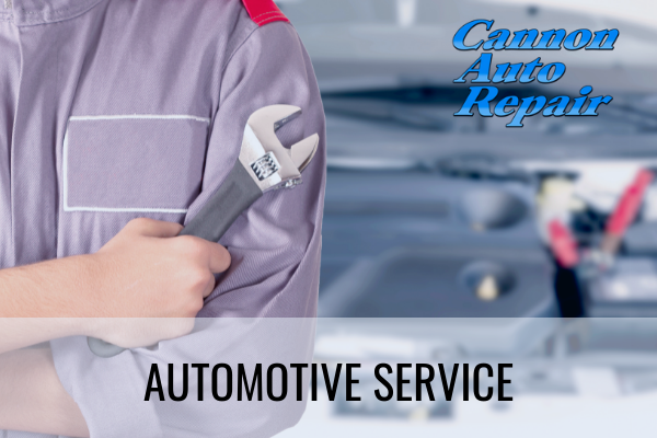 automotive repair cannon falls mn