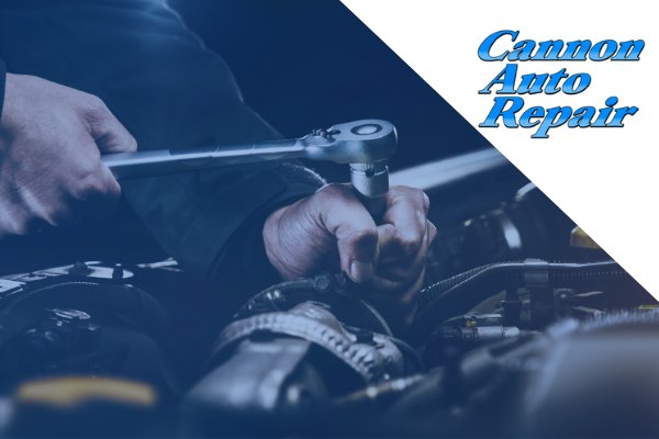 automotive service cannon falls mn