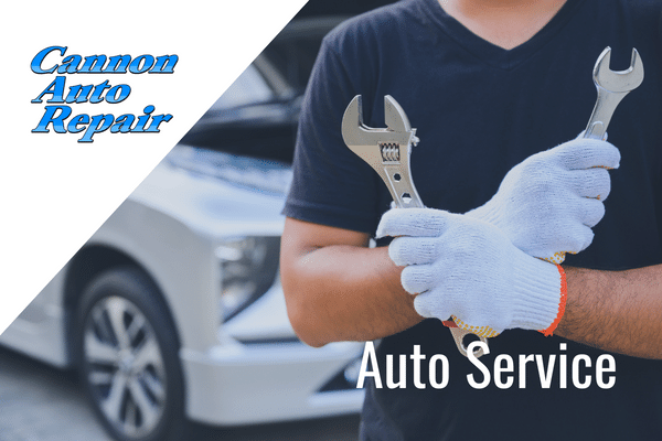 auto service cannon falls mn