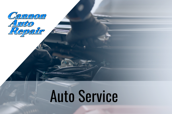 auto service cannon falls mn