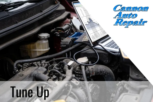 how often should you get a tune up