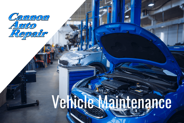 vehicle maintenance shop cannon falls mn