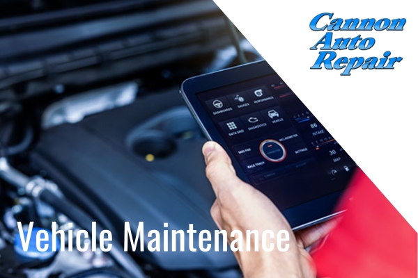 vehicle maintenance cannon falls mn