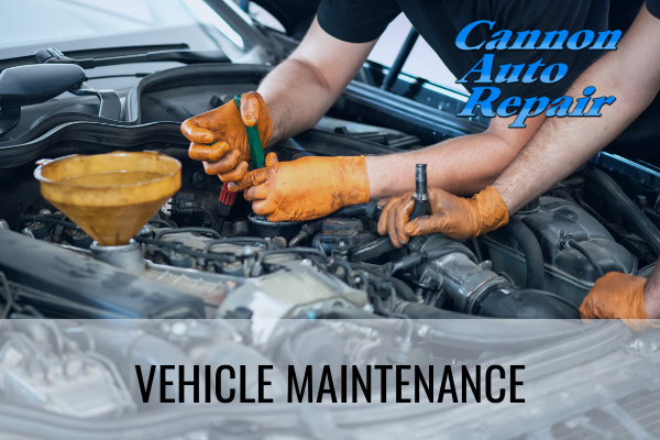 what car maintenance is really necessary